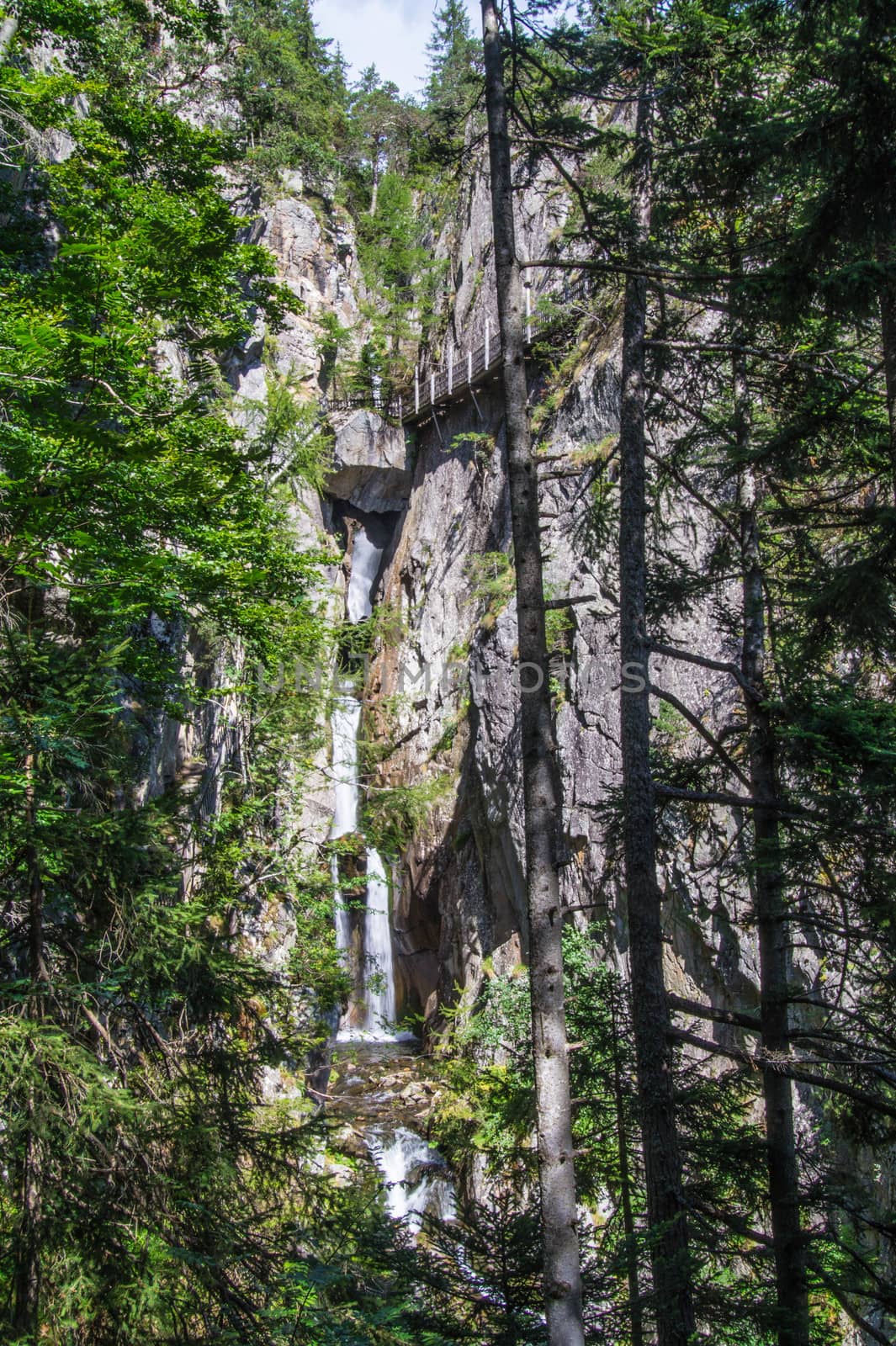 gorge in the Swiss Alps