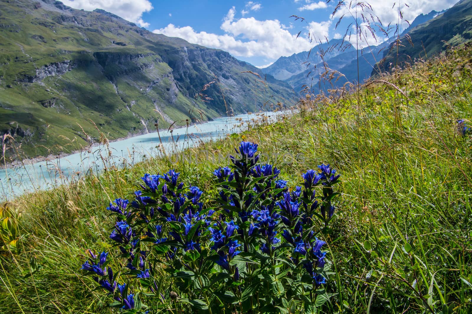 dam in the Swiss Alps