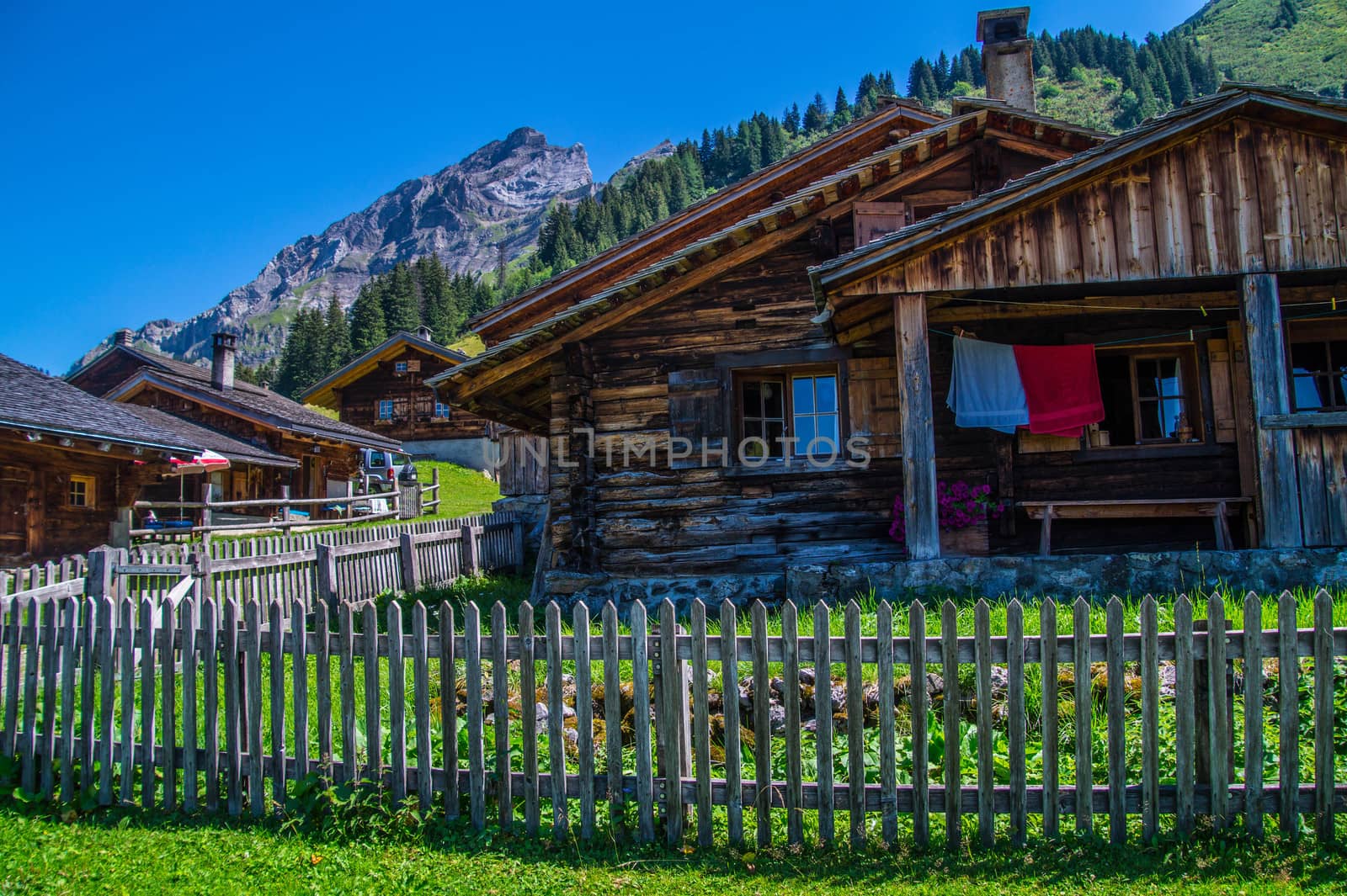 landscape of the Swiss Alps