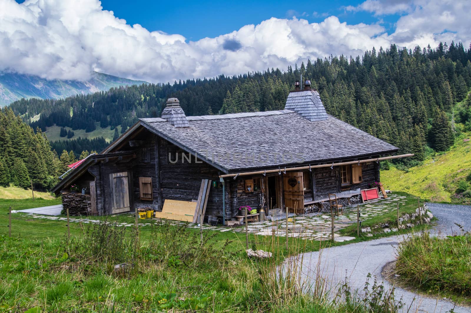 landscape of the Swiss Alps