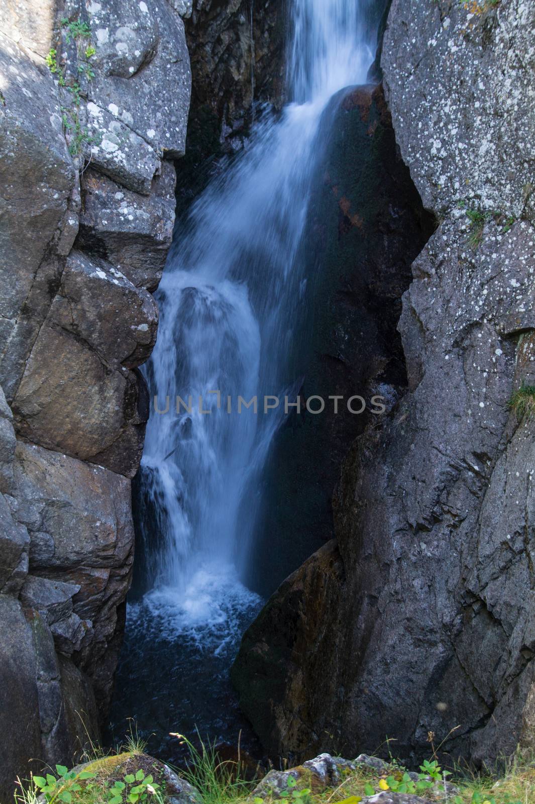 gorge in the Swiss Alps