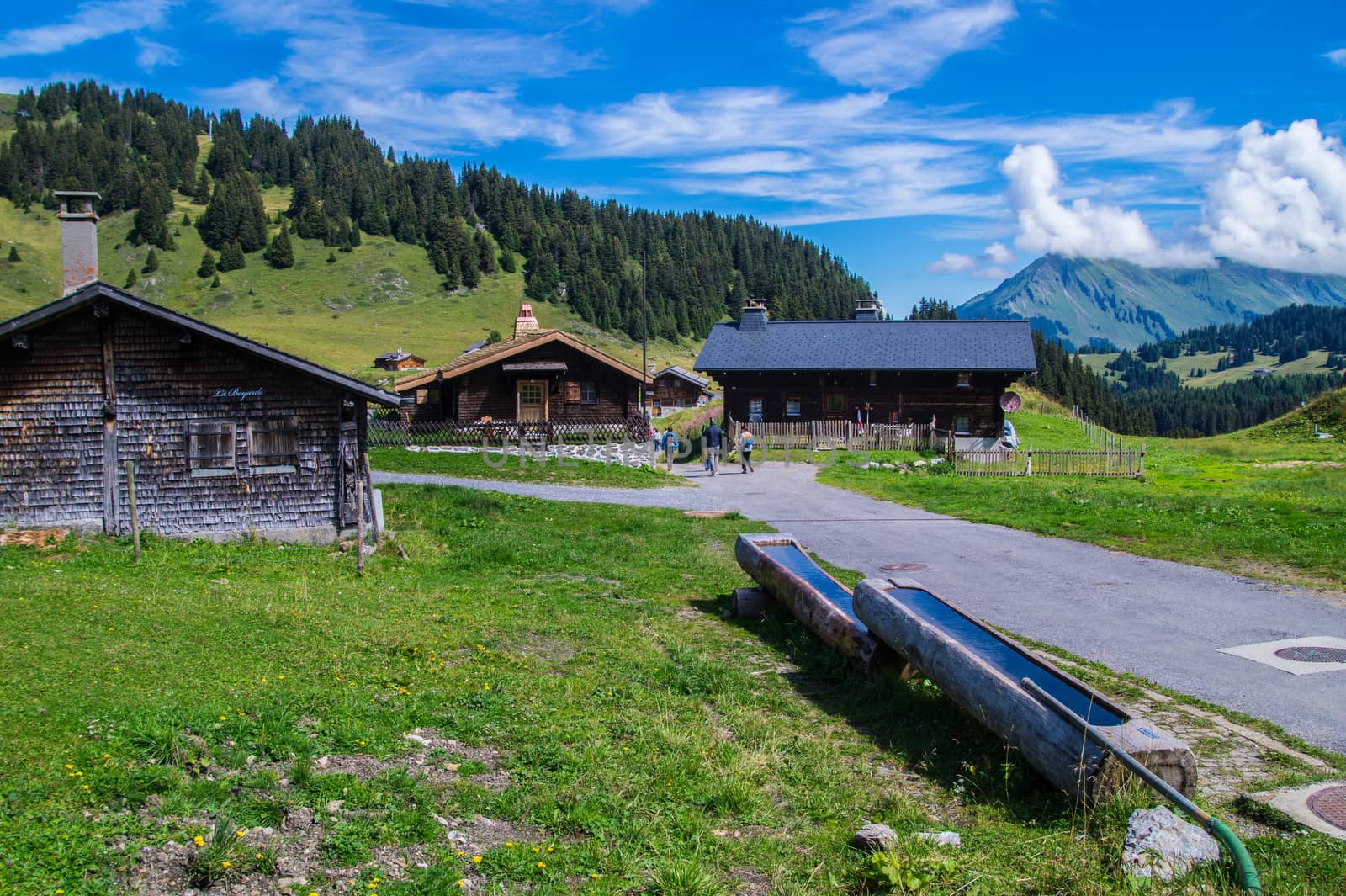 landscape of the Swiss Alps