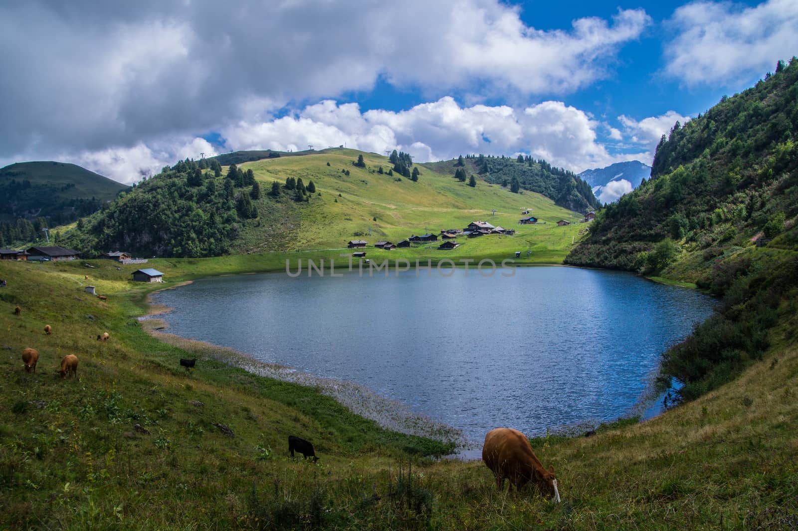 landscape of the Swiss Alps