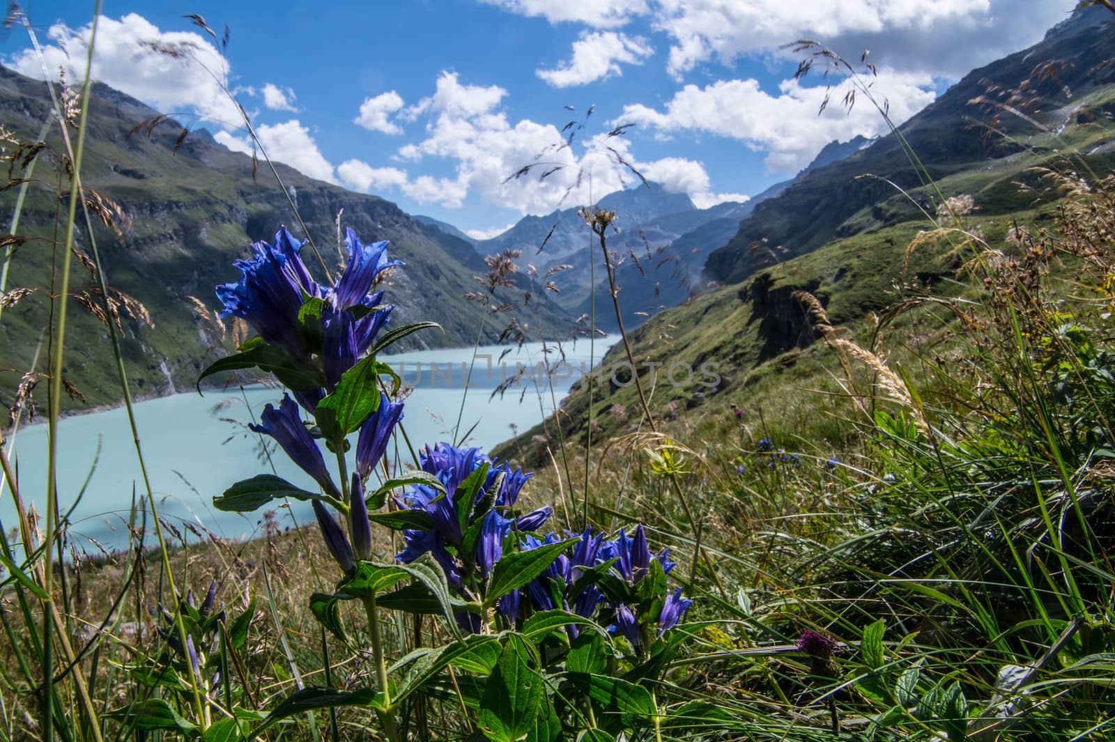 dam in the Swiss Alps