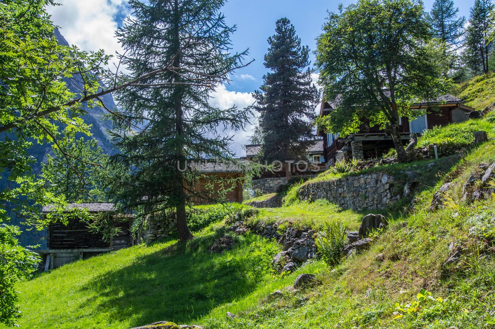 landscape of the French Alps