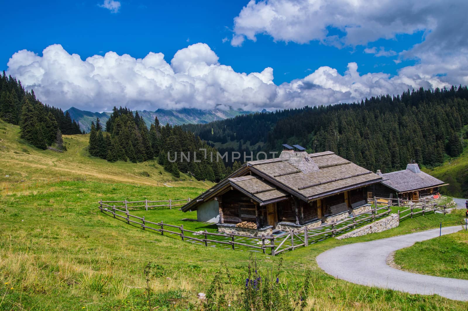 landscape of the Swiss Alps