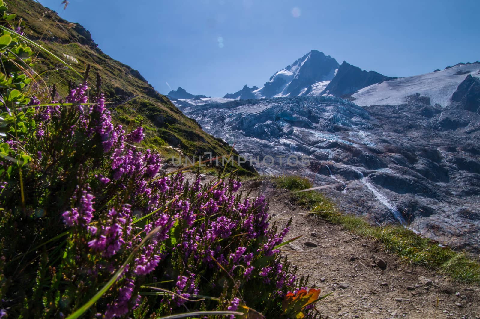 landscape of the French Alps