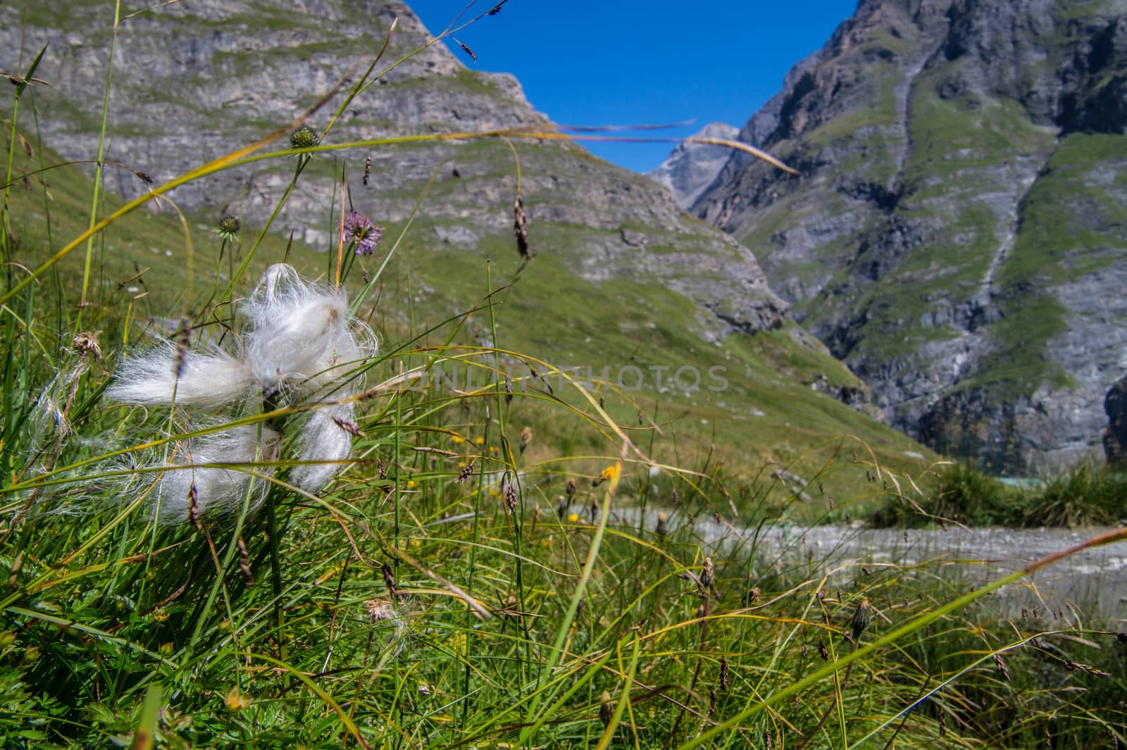 dam in the Swiss Alps