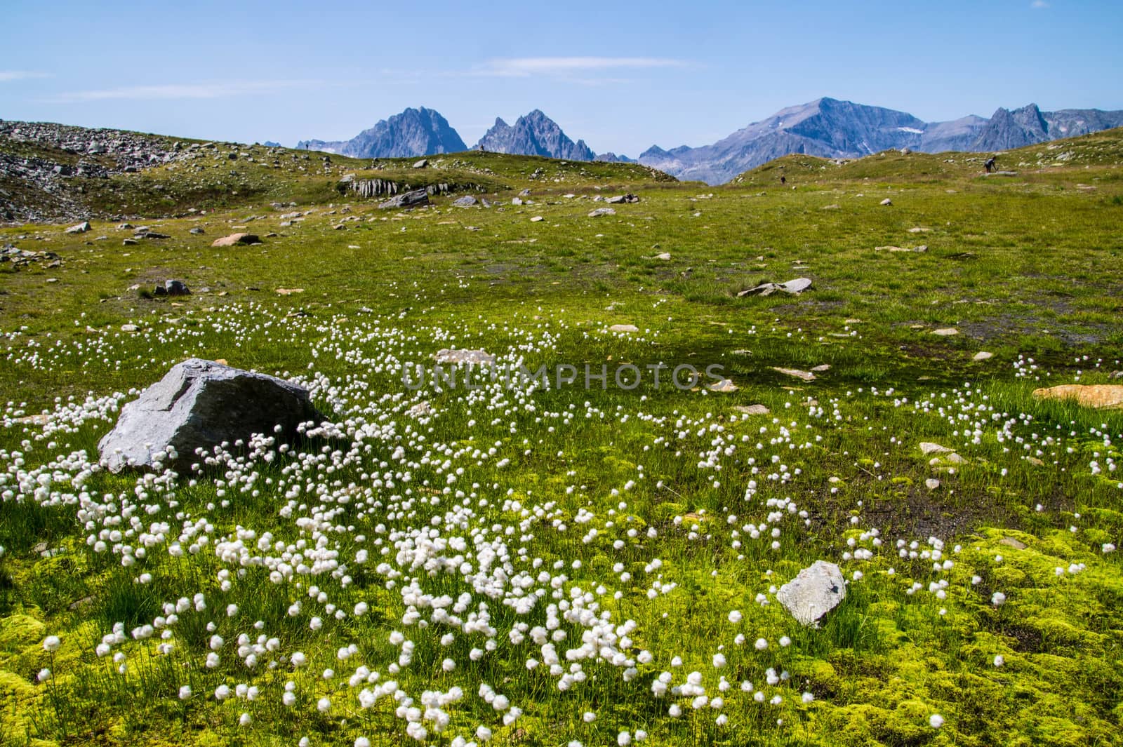 landscape of the French Alps