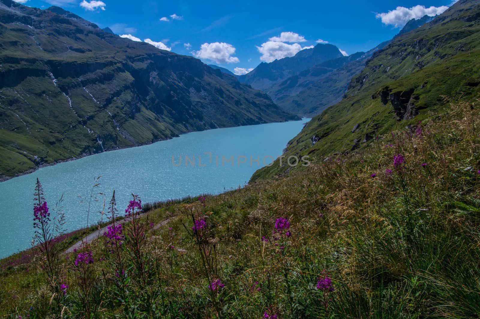 dam in the Swiss Alps