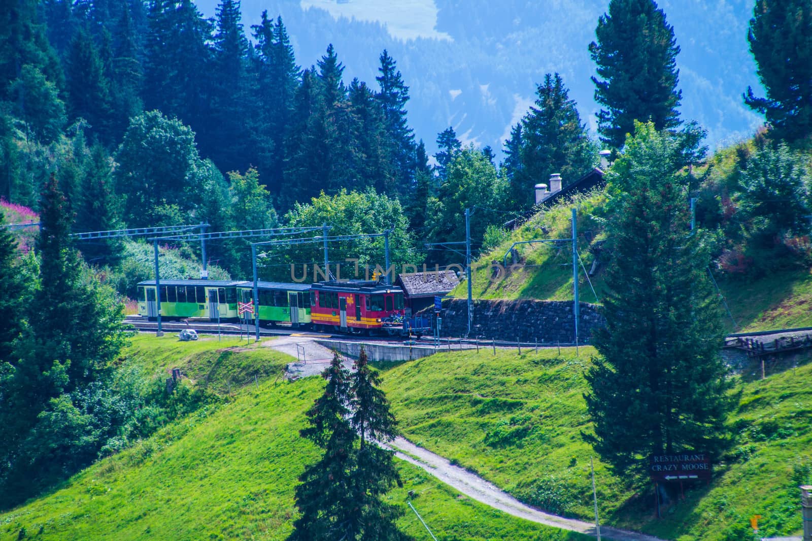 landscape of the Swiss Alps