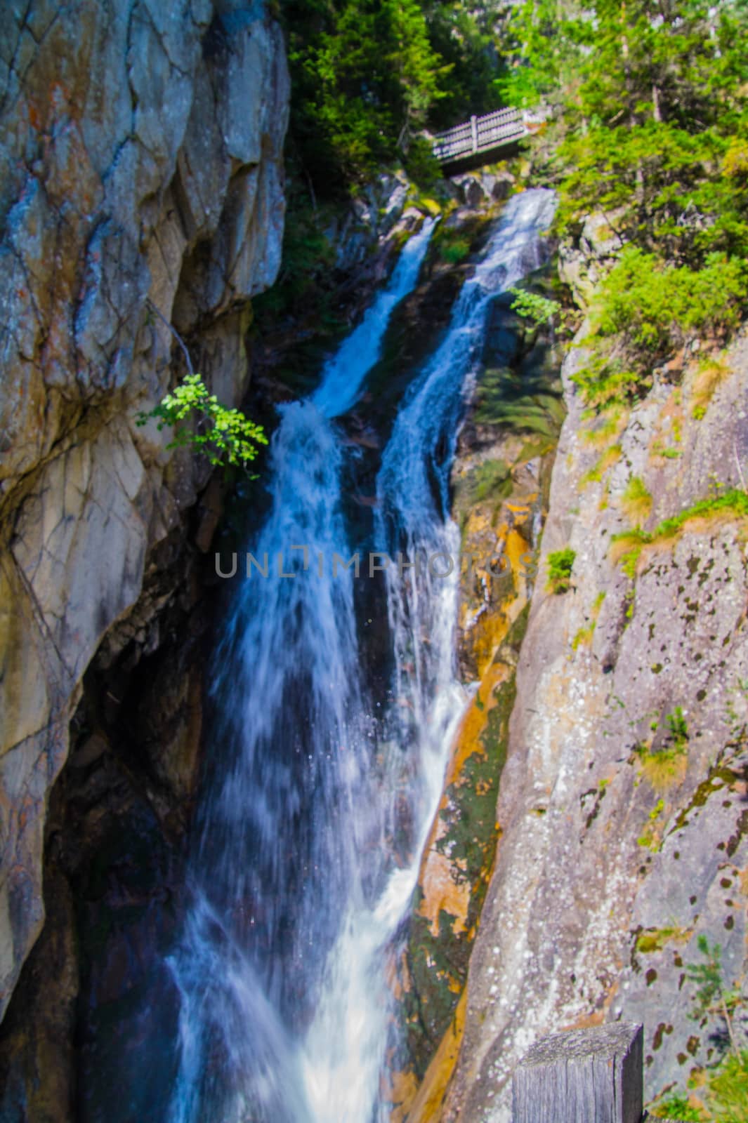 gorge in the Swiss Alps
