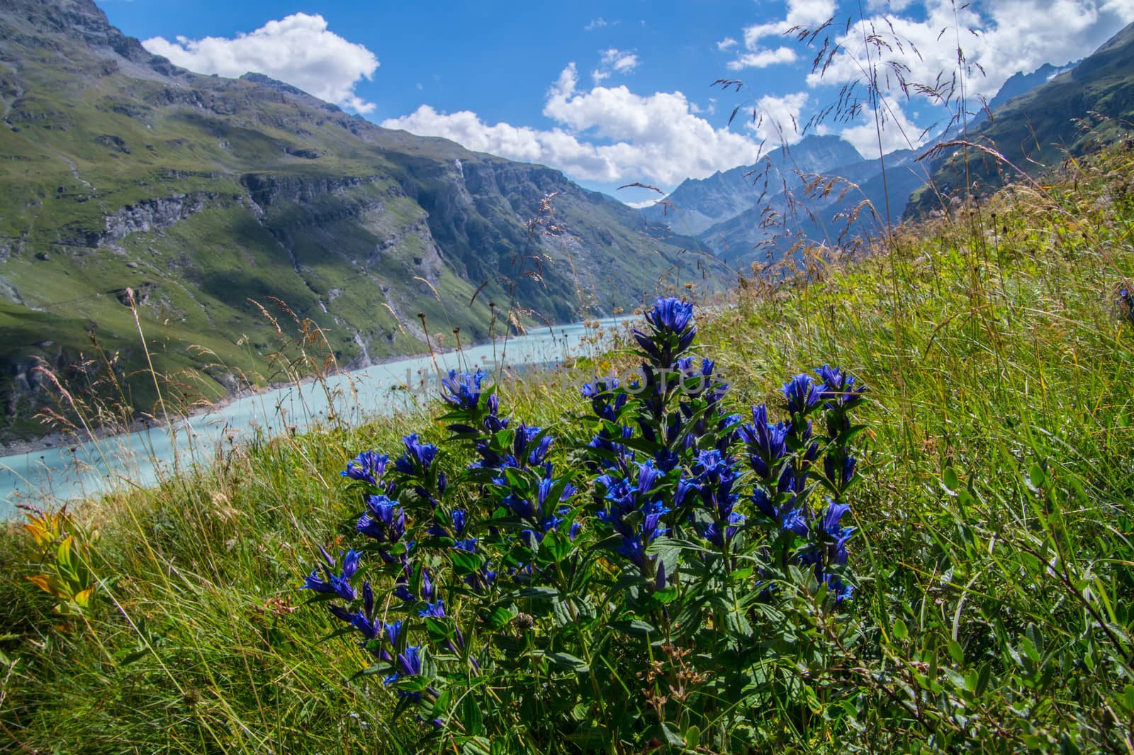 dam in the Swiss Alps