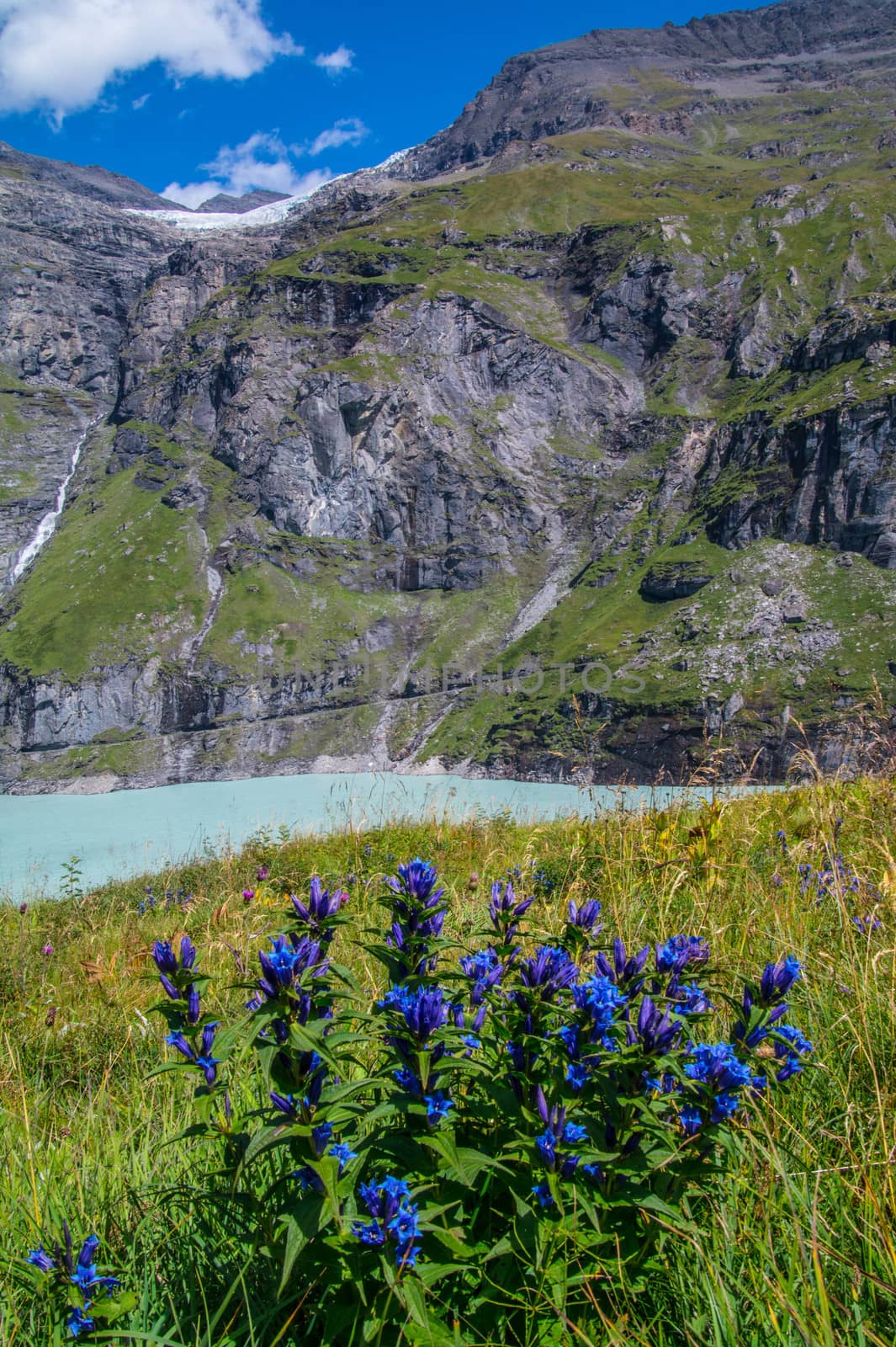 dam in the Swiss Alps