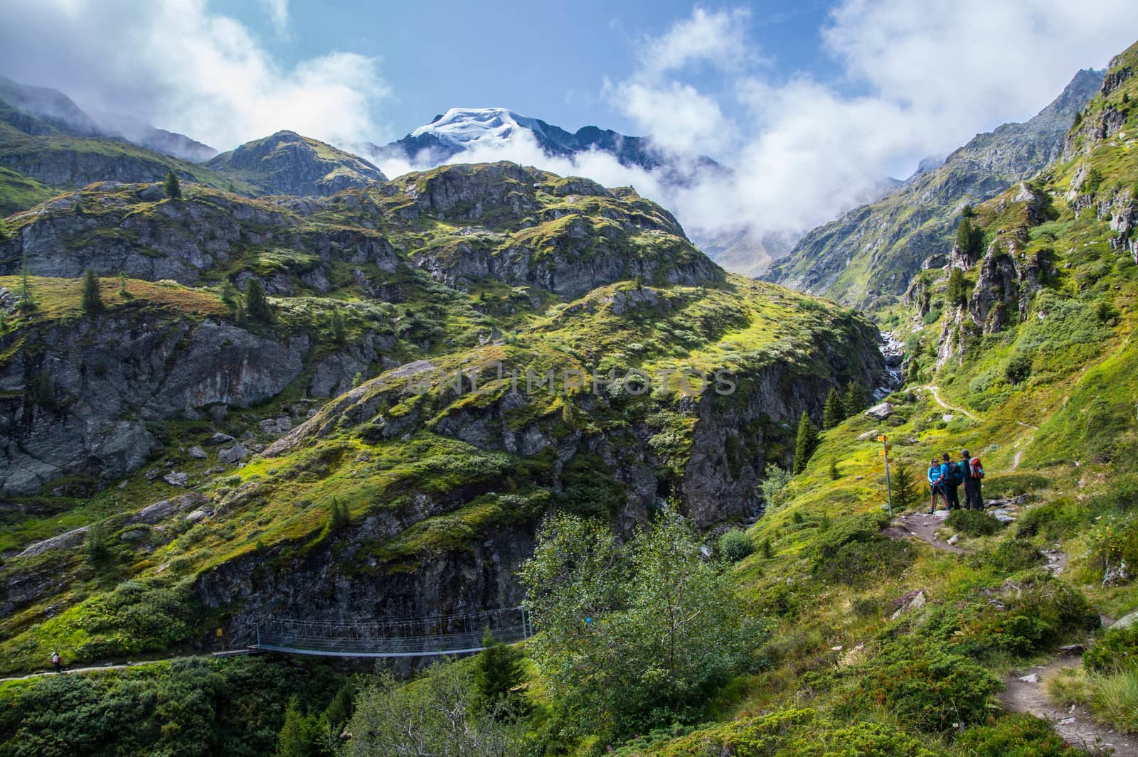 landscape of the Swiss Alps