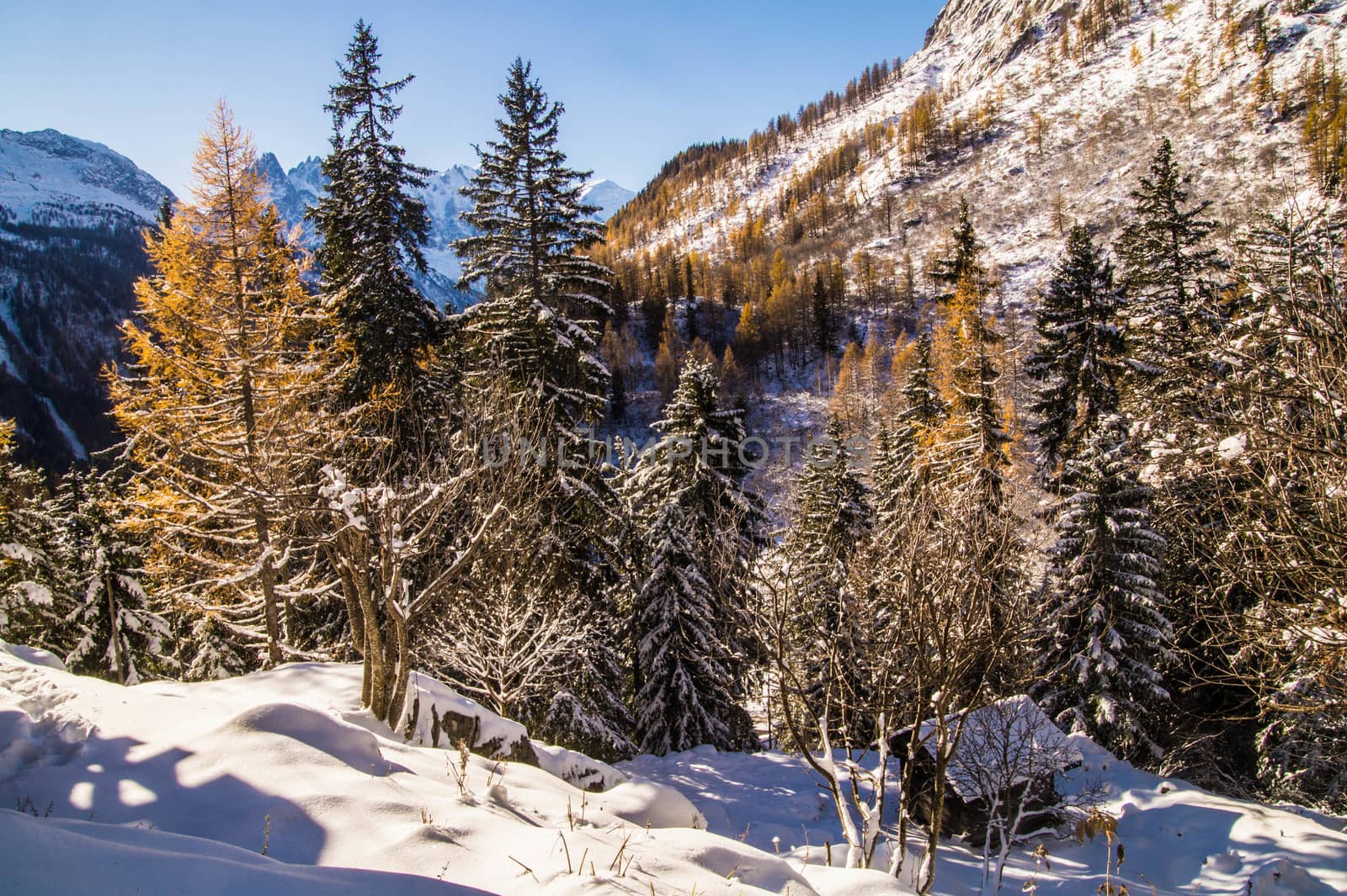 winter landscape of french alps