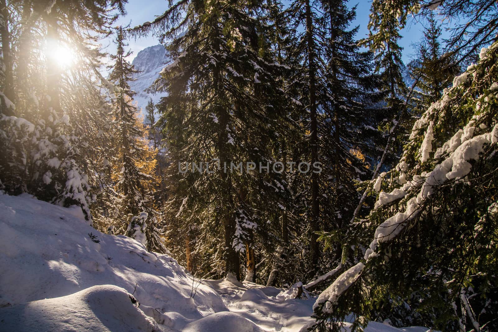 winter landscape of french alps