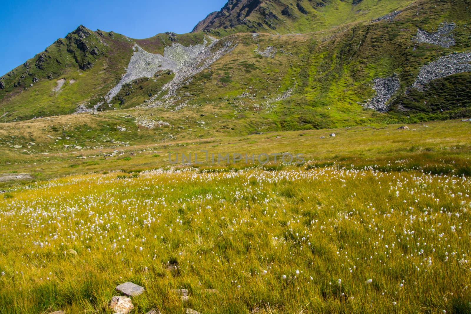 landscape of the French Alps