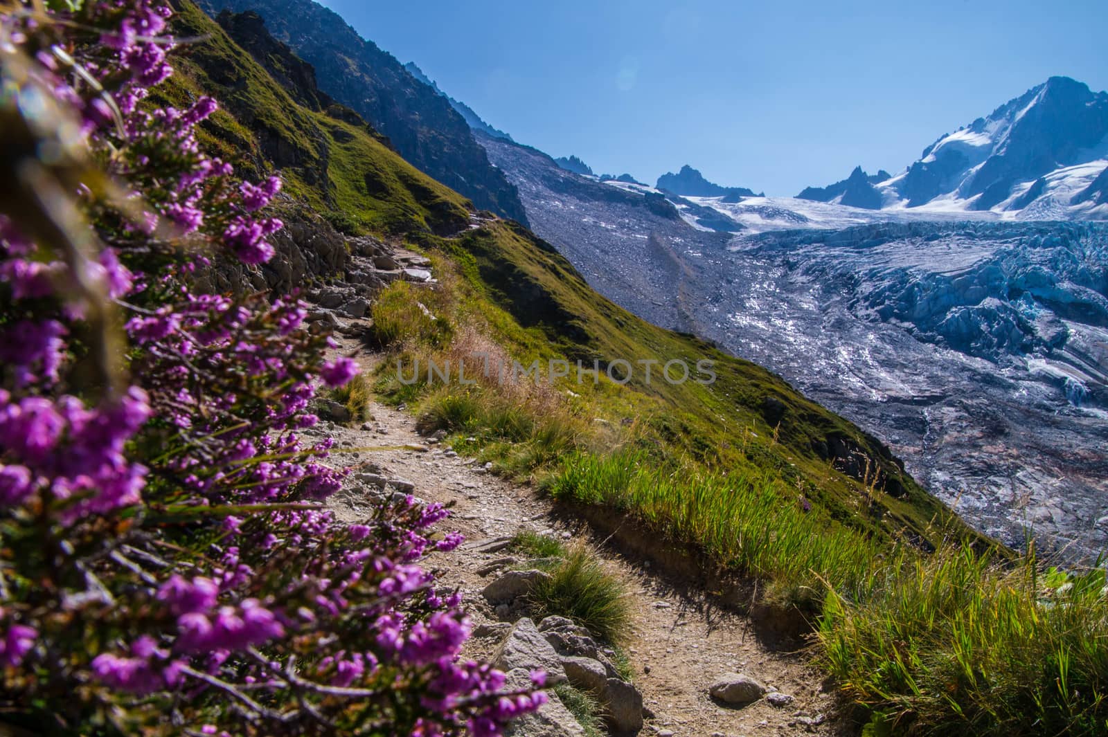 landscape of the French Alps