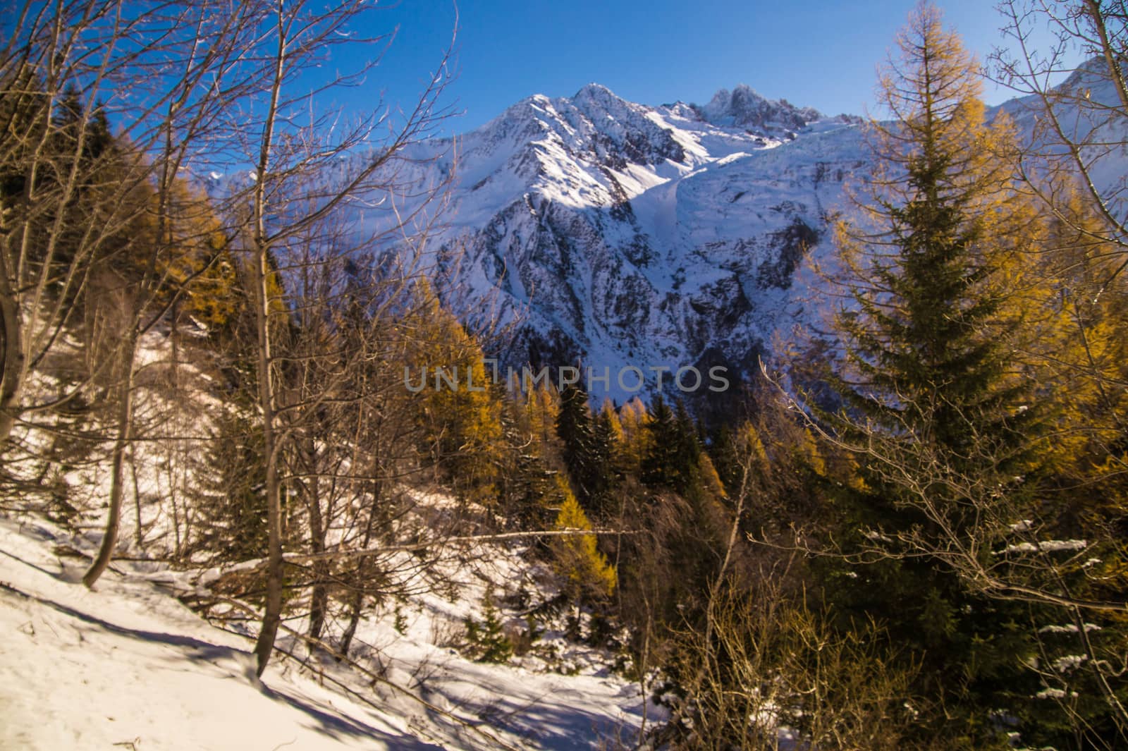 winter landscape of french alps