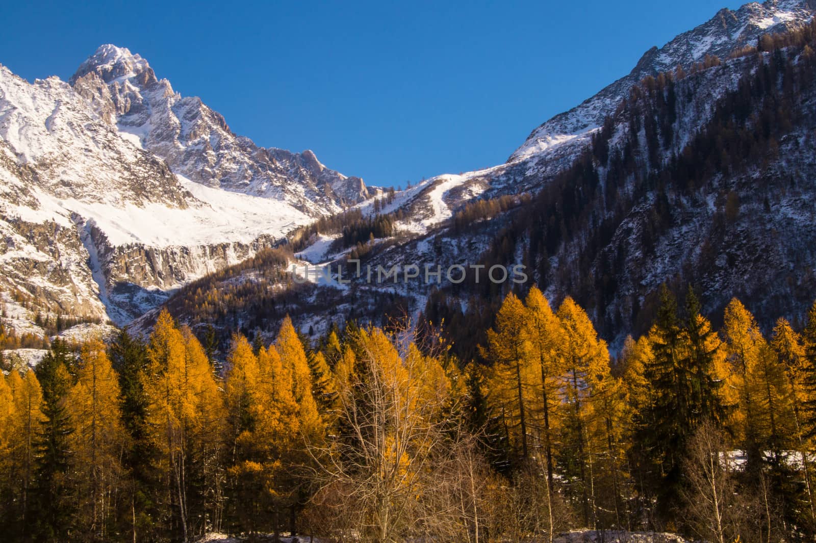 chamonix,haute savoie,france by bertrand