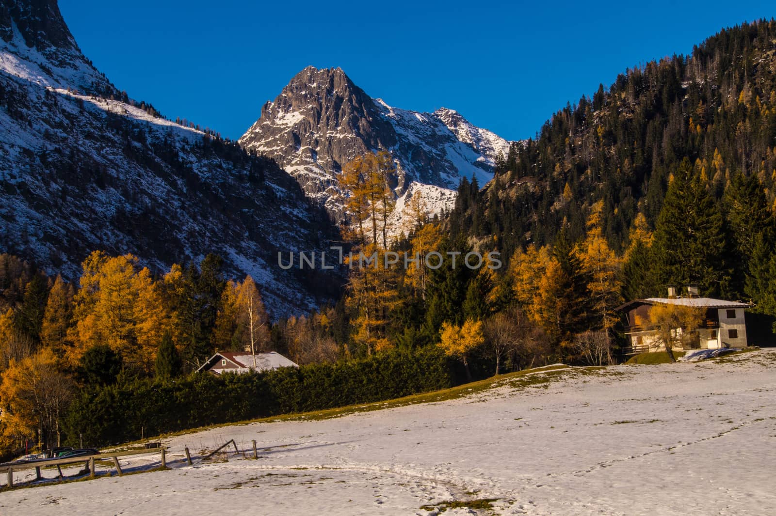 winter landscape of french alps