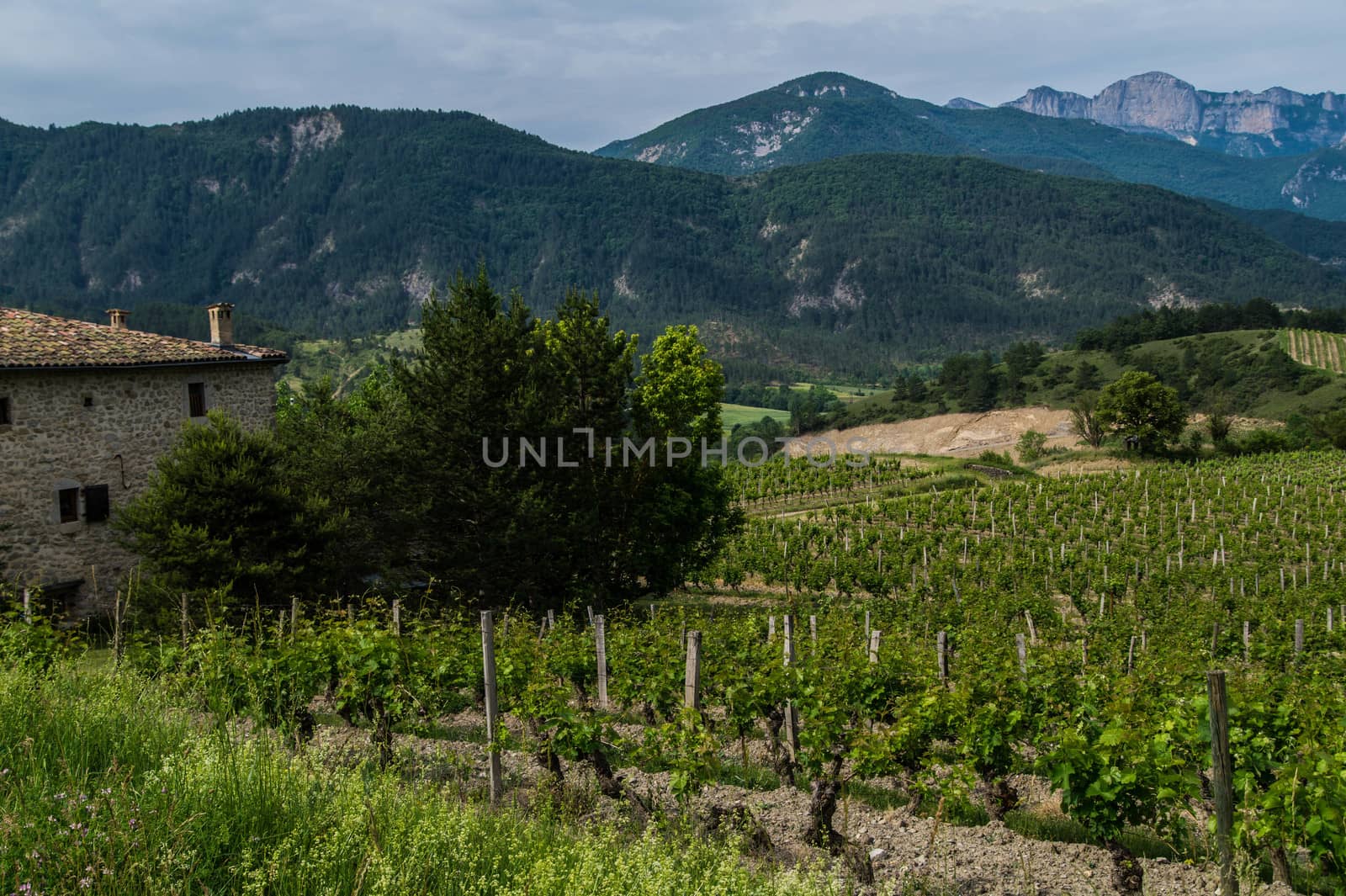 drome landscape