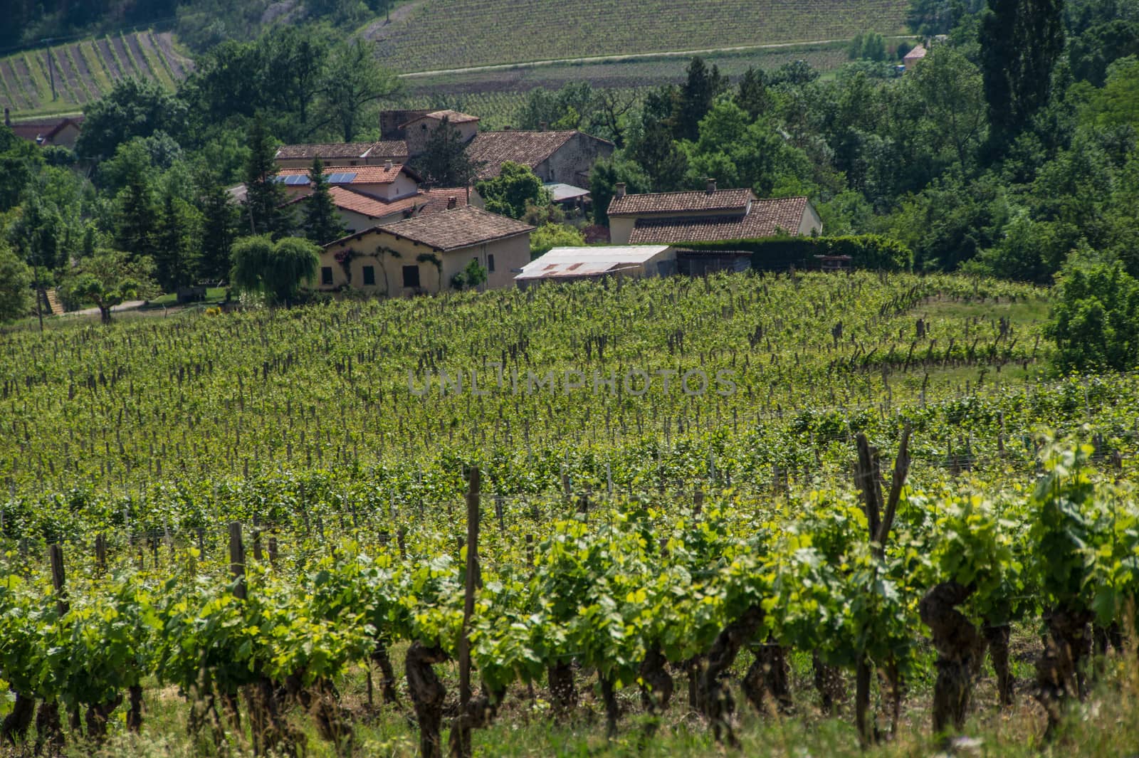 drome landscape