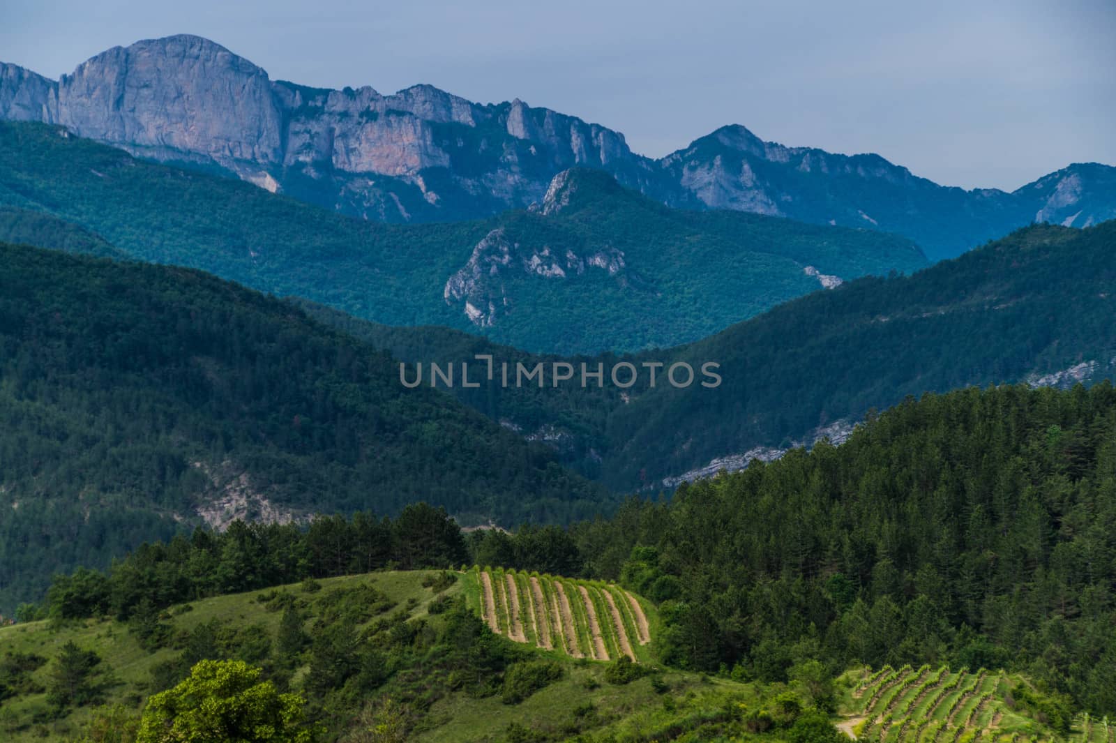 drome landscape
