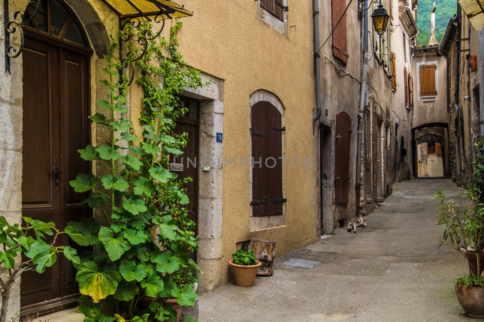 drome landscape