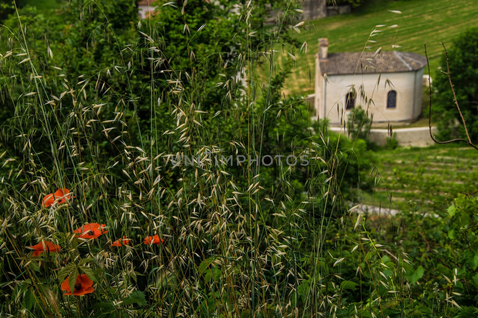 drome landscape