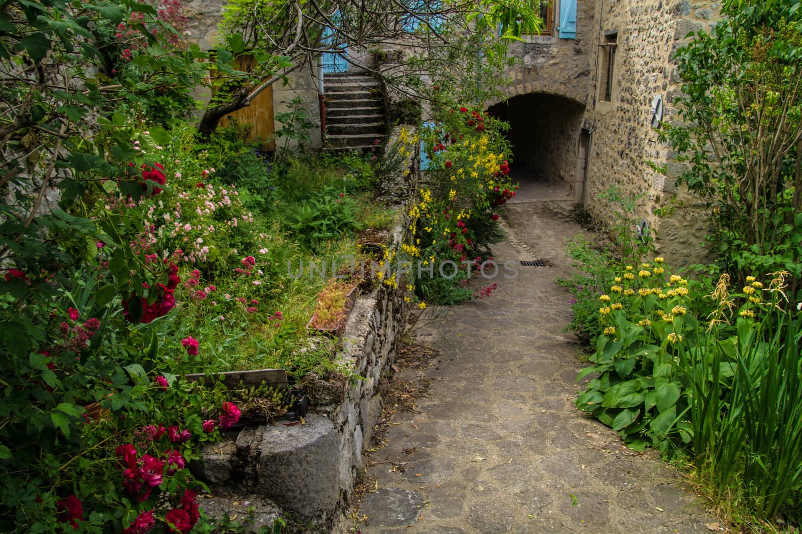 drome landscape
