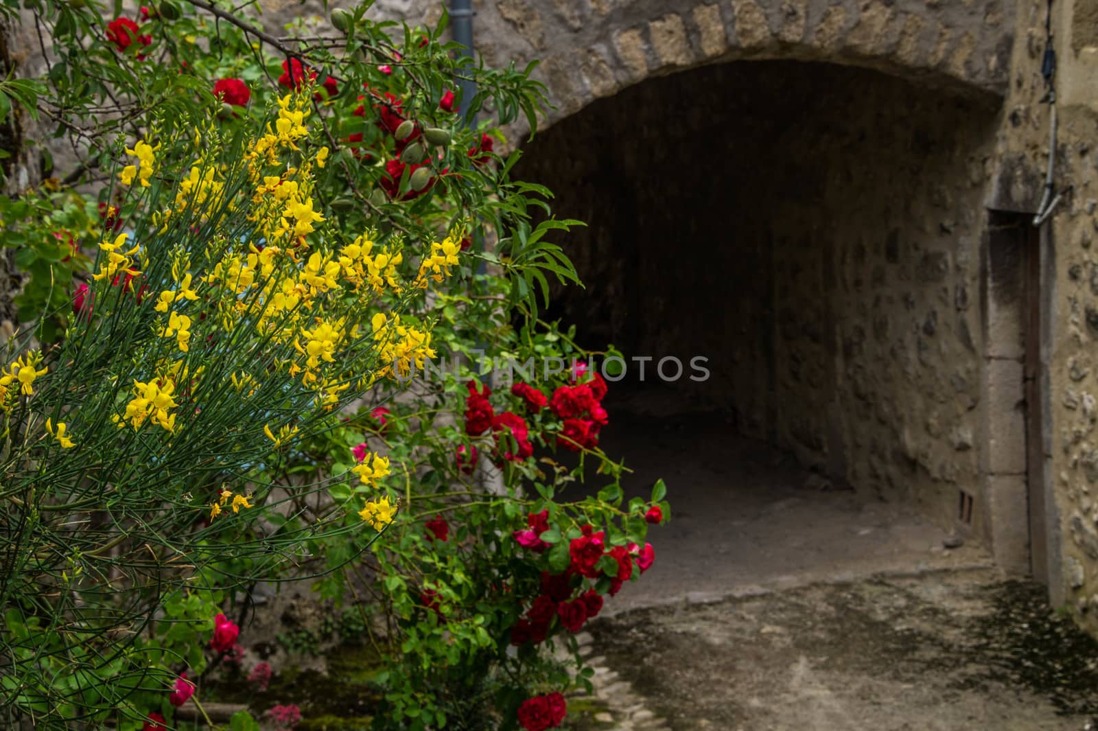 drome landscape