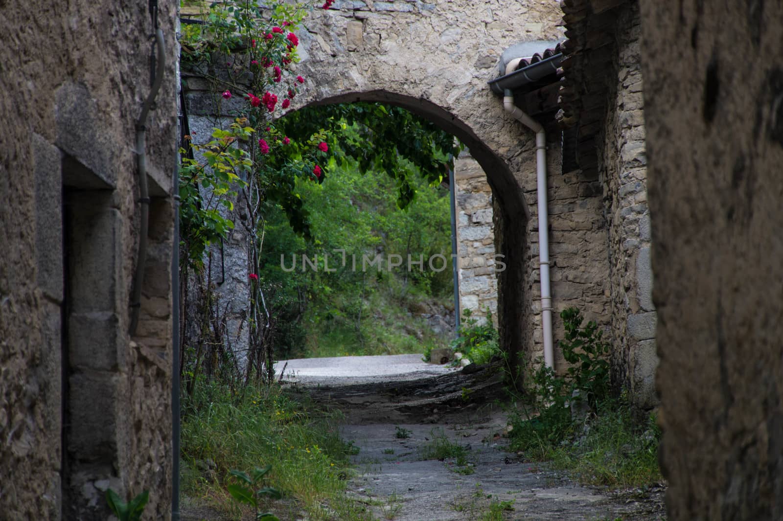 drome landscape