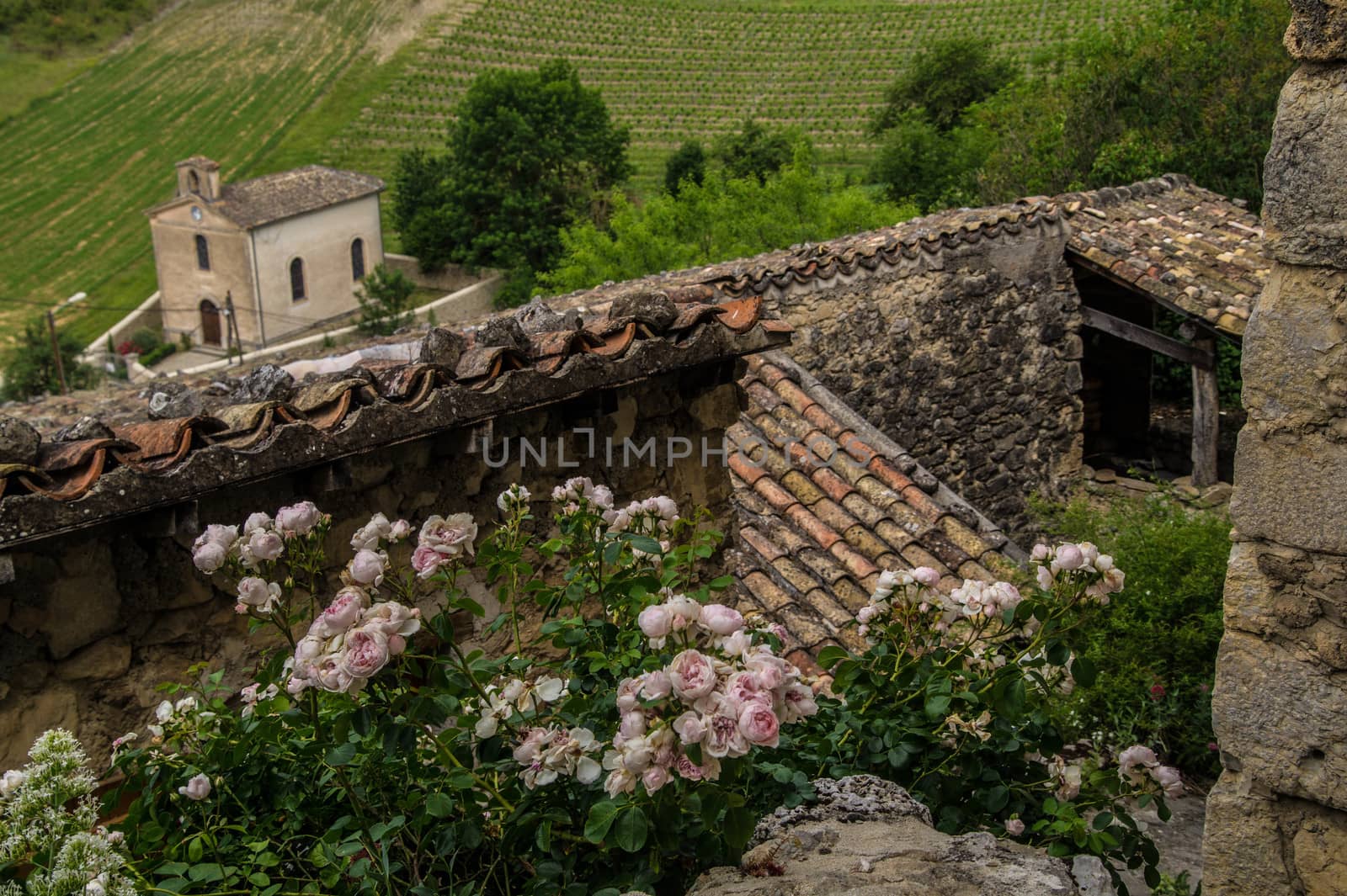 drome landscape