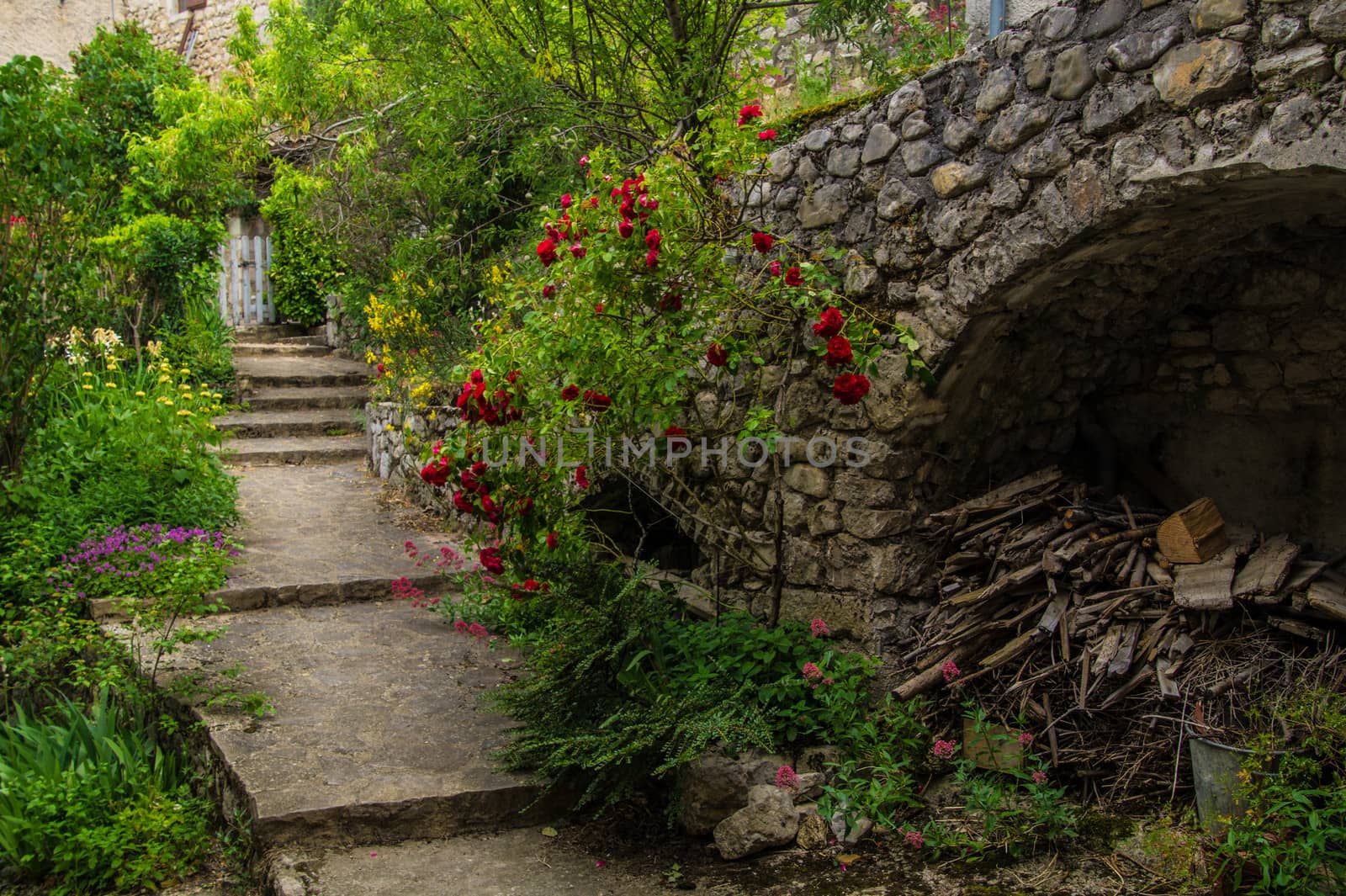 drome landscape