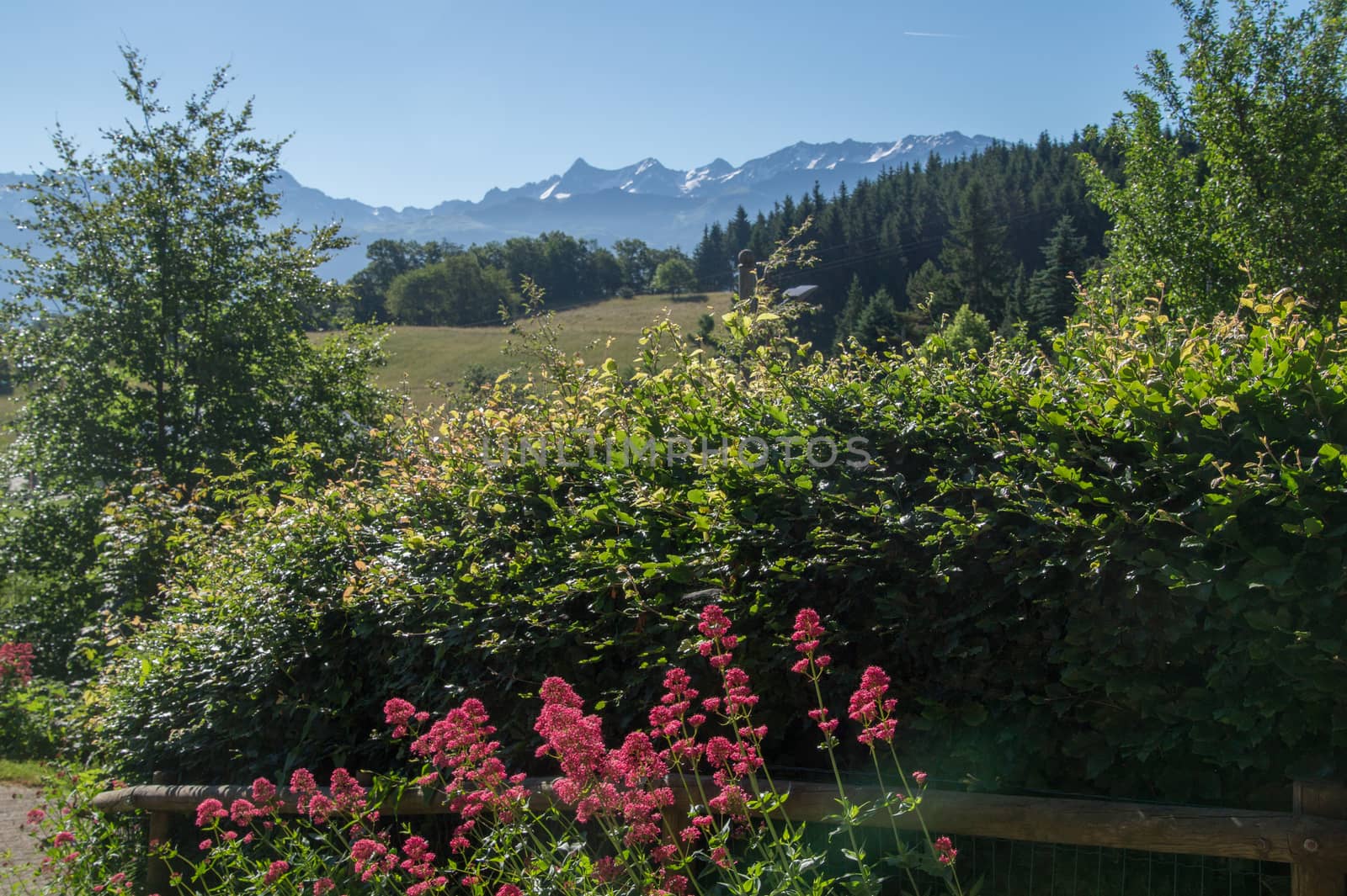 saint hilaire du touvet,isere,france