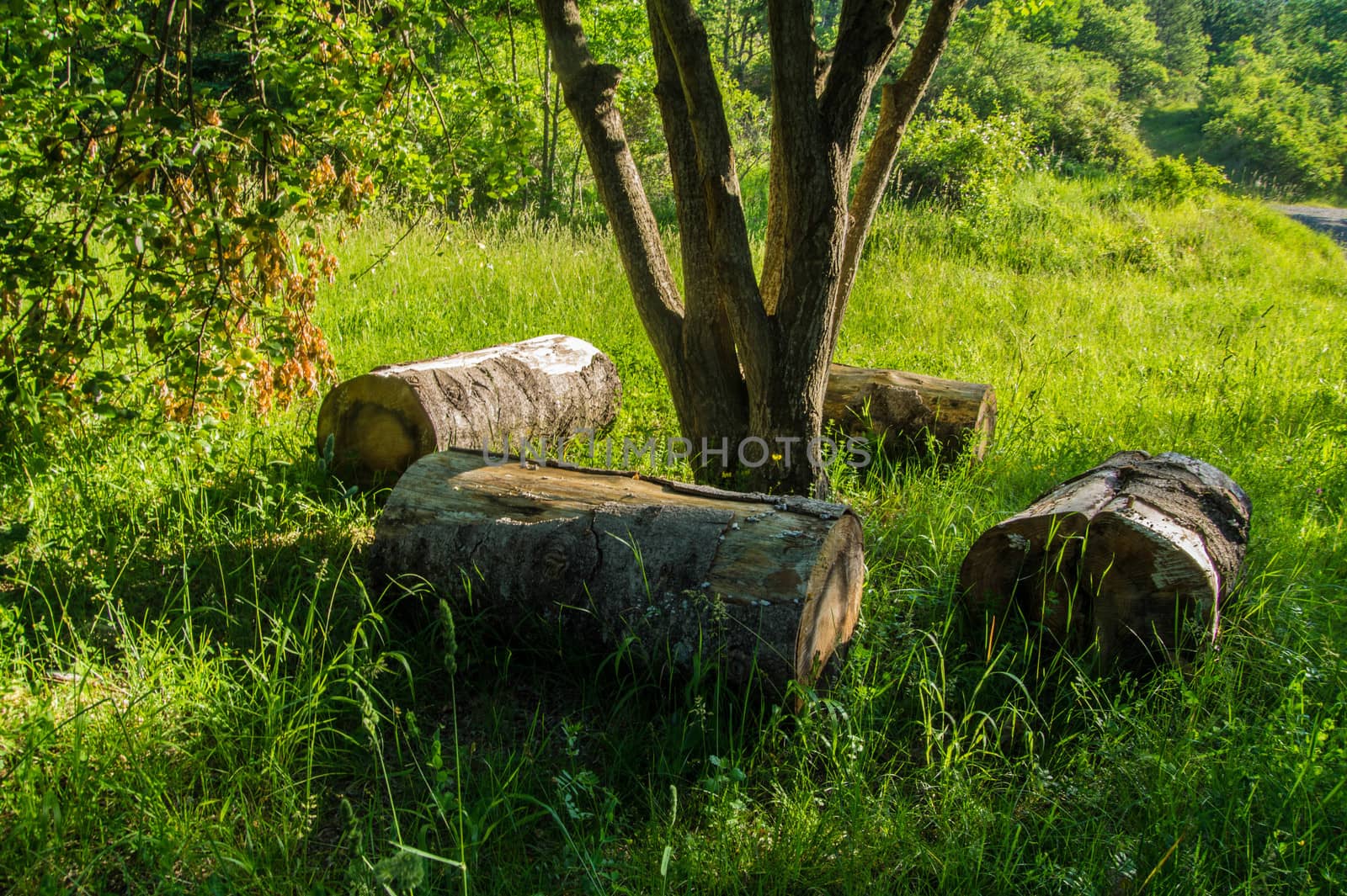 drome landscape