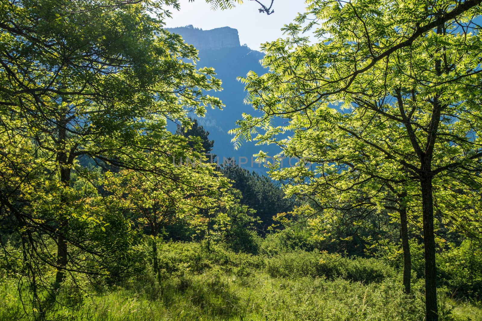 drome landscape