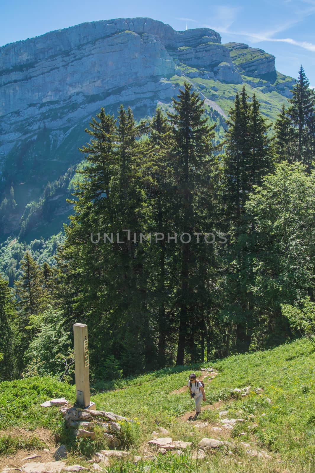 pass of pravouta,saint pierre de chartreuse,isere,france