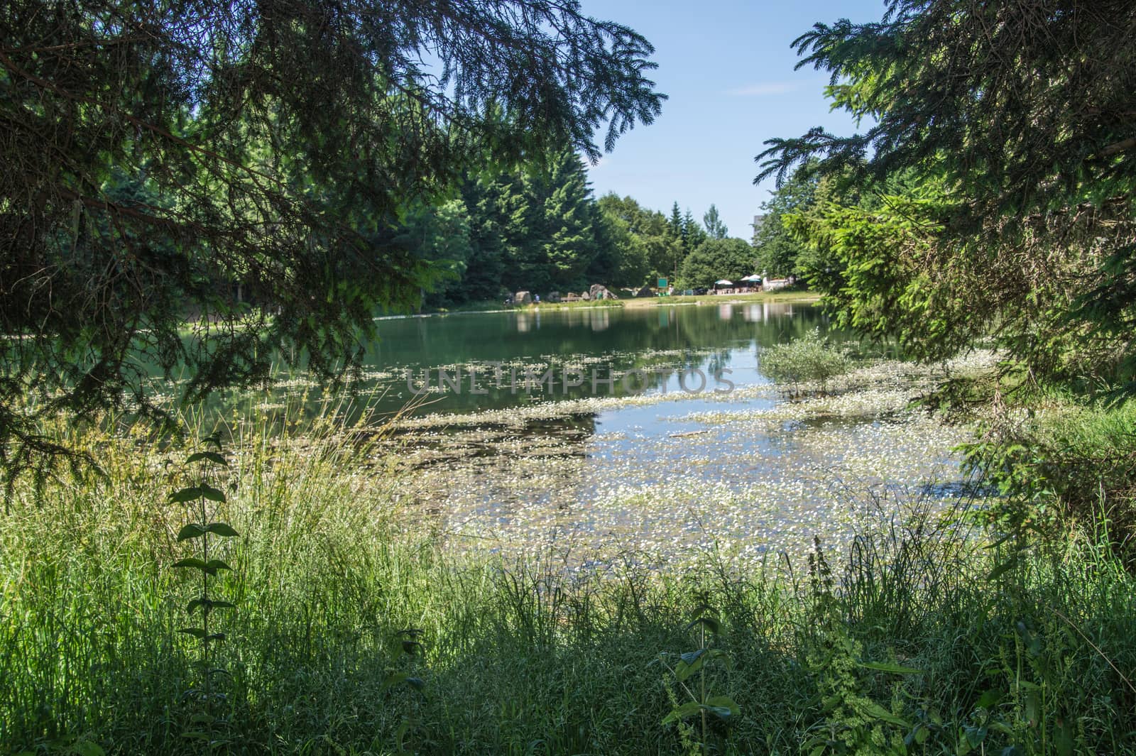 lake freydieres,isere,france