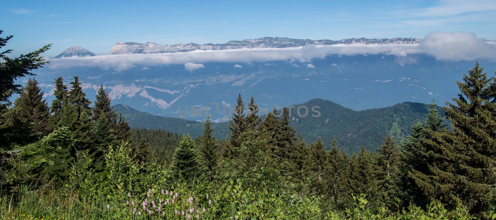 mountainous of chartreuse,isere,france