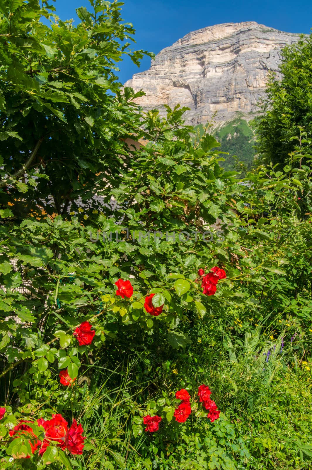 saint hilaire du touvet,isere,france'