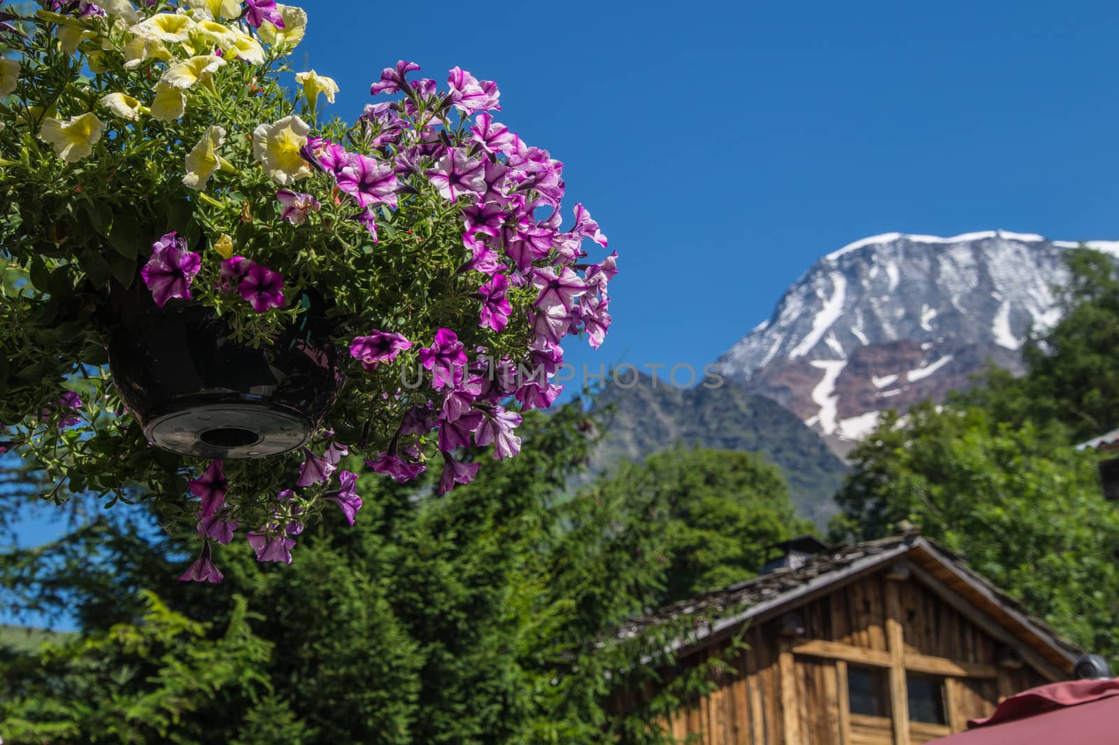 bionnassay,haute savoie,france