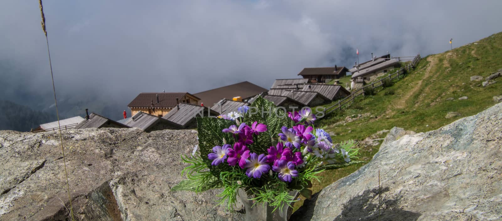 saint martin,alpage de l'a vieille,valais,swiss