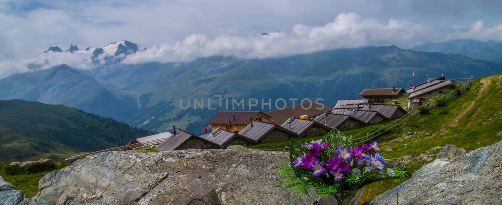 saint martin,alpage de l'a vieille,valais,swiss