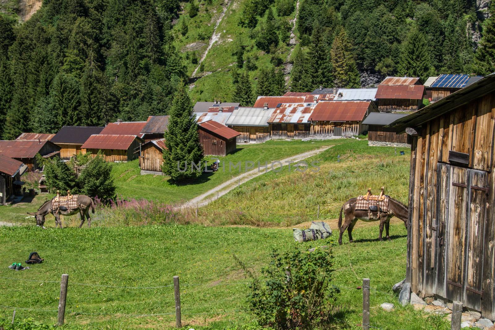 circus of fonts,haute savoie,france