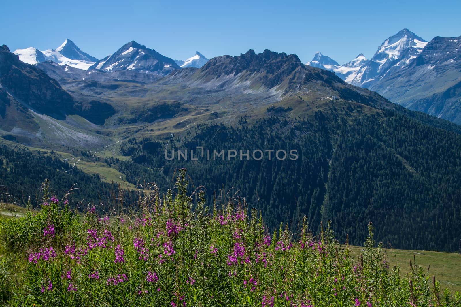 bella tola,chandolin,valais,swiss