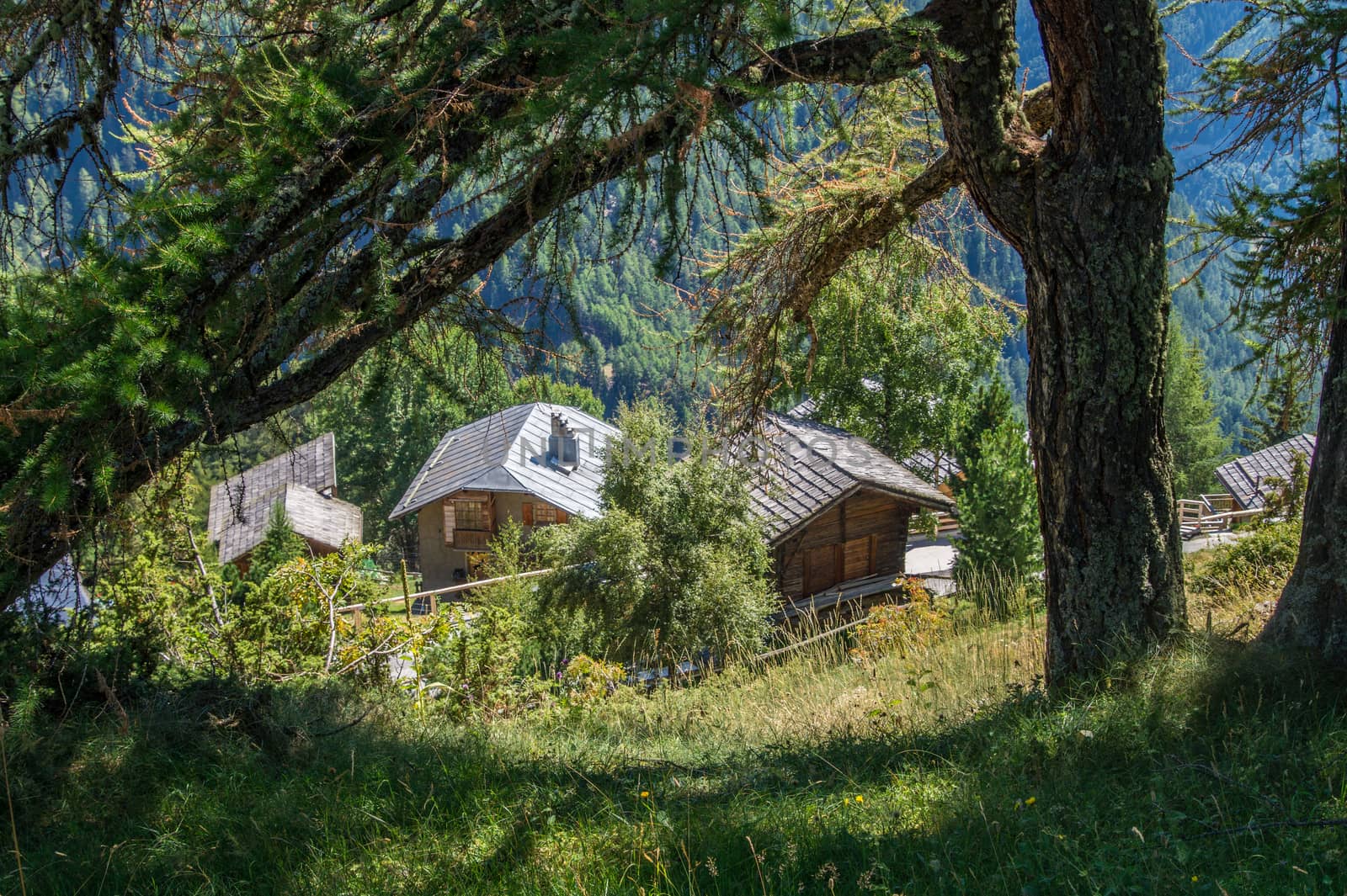 chandolin,valais,swiss