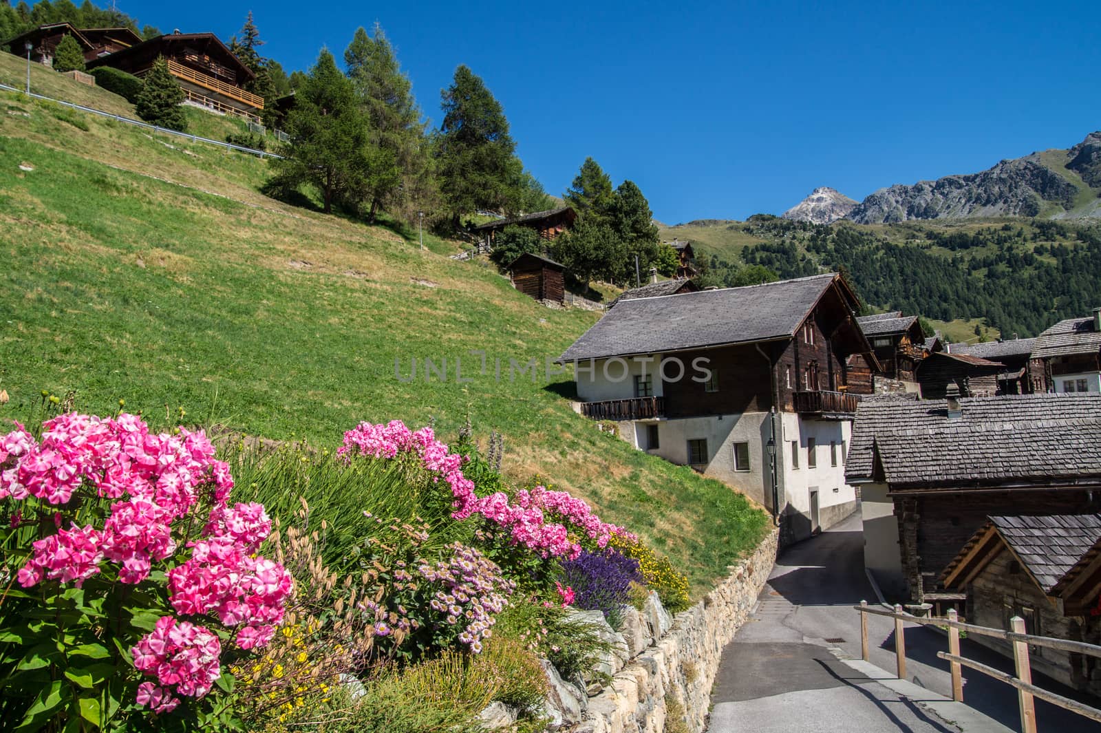 chandolin,valais,swiss